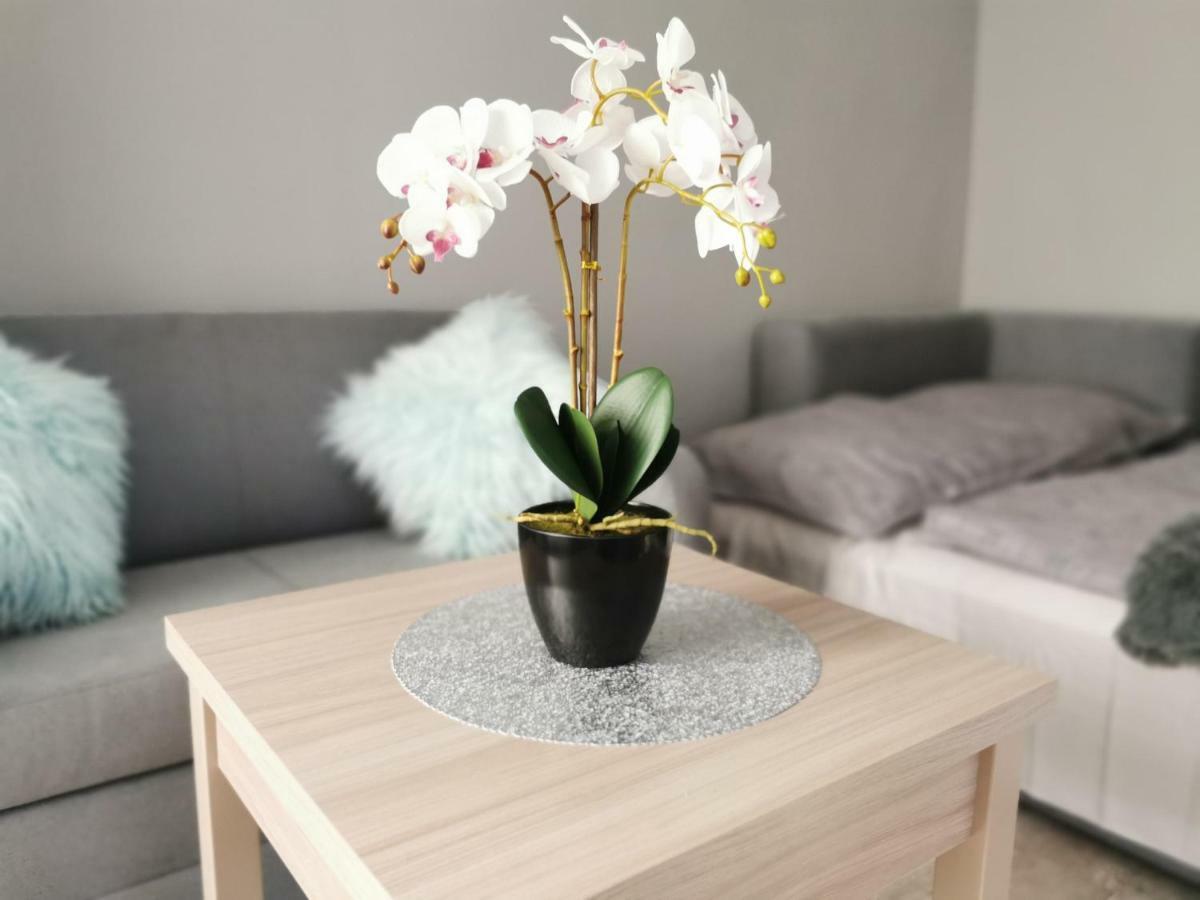 Apartament Gorska 8 - Blisko Centrum Swieradow-Zdroj Luaran gambar